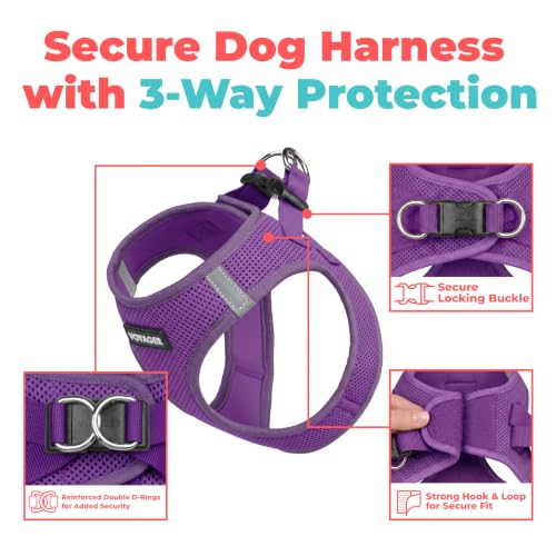 Voyager Step in Air Dog Vest Harness (Purple / XXXS (Chest: 11 - 12"))