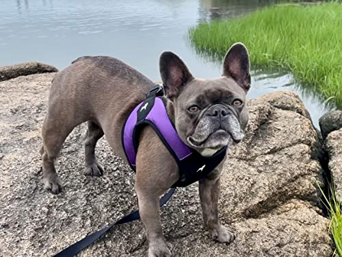 Escape Free Easy Fit Dog Harness (Large chest (20.25~24.75") / Purple)