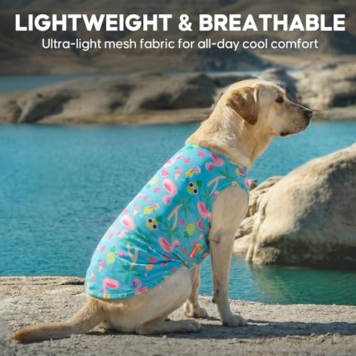 2Pack Dog Shirts for Medium Large Dogs Breathable Mesh Tank Top (XX-Large (40-55lbs) / 1# 2Pack (Flamingo+blue))