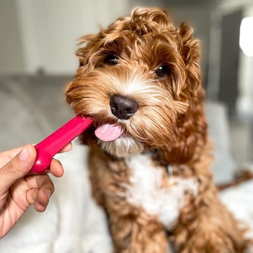 Power Chew Original Bone Dog Chew Toys (Small)