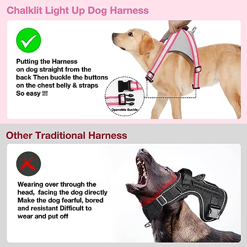 Light Up Dog Harness (Medium / Pink)