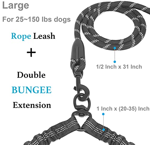 Double Dog Leash (Black / Large)