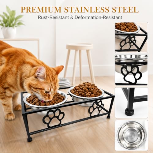 Raised Dog Bowls for Small Dogs (BLACK)