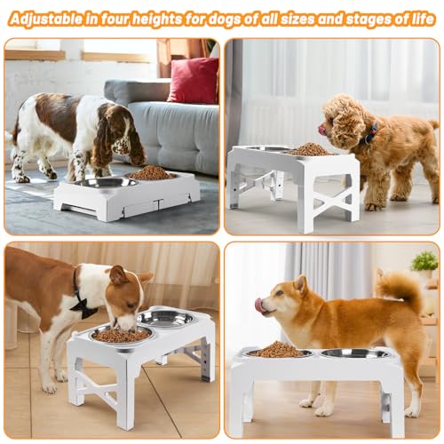 Elevated Dog Bowls with 2 Stainless Steel Food & Water Raised Bowls with No Spill Edge Non (M (8" for M/L Dogs) / White)