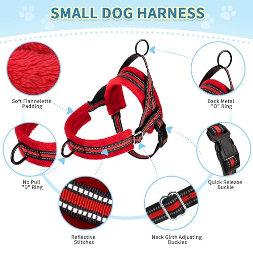 No Pull Small Dog Harness and Leash Set with Front Clip (X-Small / Red)