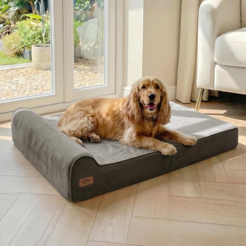 Orthopedic Dog Beds for Large Dogs (X-large / Dark Grey)