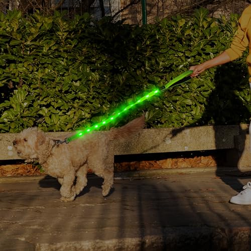 LED Dog Leash (GreenⅡ)