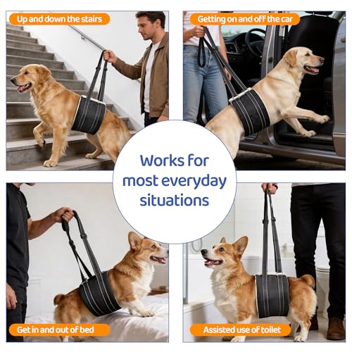 Adjustable Dog Lift Harness (Black03)