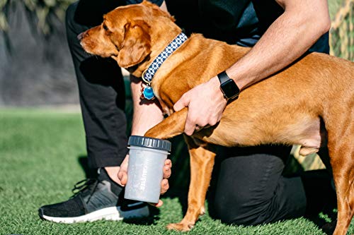 Lidded MudBuster Medium Dog Paw Cleaner (Light Gray / Medium with Lid)