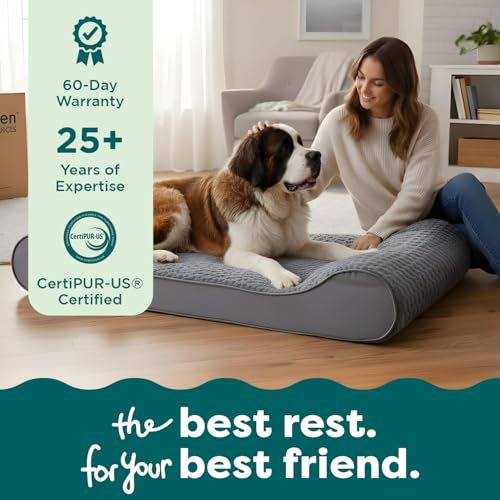 Orthopedic Dog Bed for Large Dogs (Giant/XXXL / Gray)