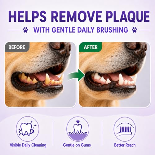 Dog Toothbrush (Green / 1 Count (Pack of 6))