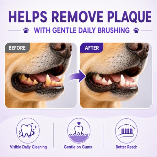 Dog Toothbrush (Purple / 1 Count (Pack of 1))