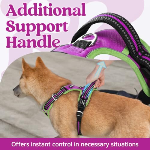 Dog Harness Small Sized (Purple & Light Green / Small)