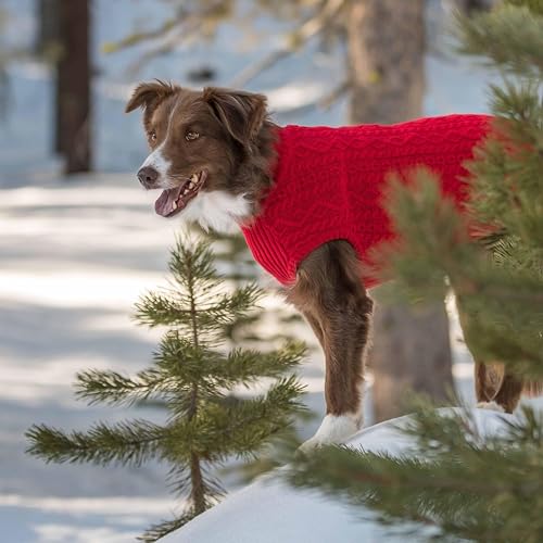 Dog Sweater Award Winning Christmas Sweater for Small Dogs (14 inch (Pack of 1) / Red)