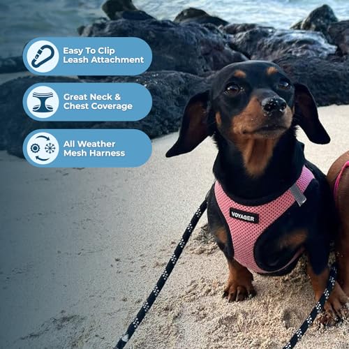 Voyager Step in Air All Weather Mesh Harness and Reflective Dog 5ft Leash Combo with Neoprene Handle (Pink/Black Trim / S (Chest: 14.5 - 16"))