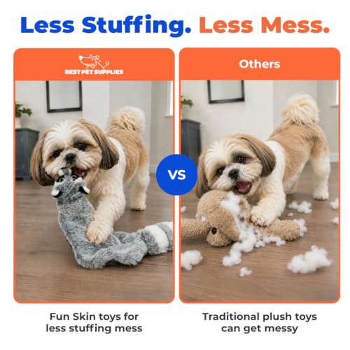 2-in-1 Stuffless Squeaky Dog Toy - Raccoon, Medium (Grey/Raccoon / Medium)