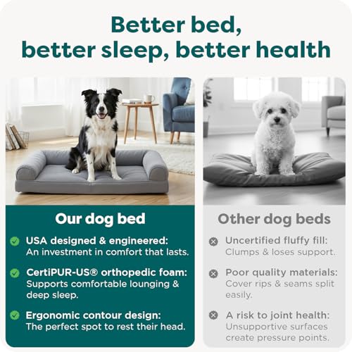Orthopedic Dog Bed for Large (Large / Gray)