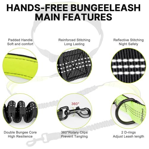 Hands Free Dog Leash for Medium Large Dogs (for One Dog / Black/Green)