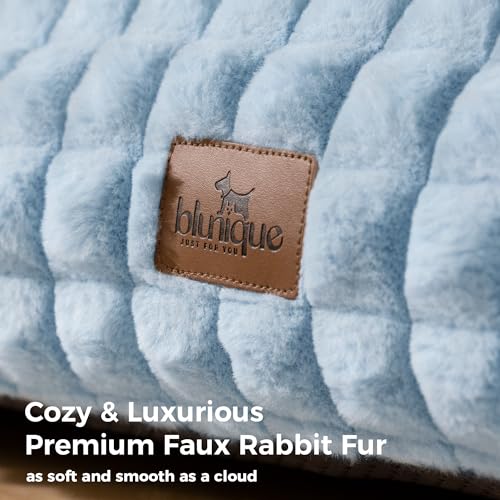 Cat Couch Bed with Fluffy Faux Rabbit Fur for Indoor Cats (Light Blue / Medium: 30"L x 20"W x 10"Th)