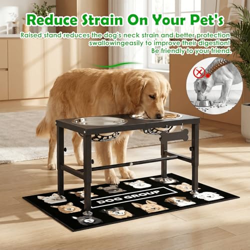 Elevated Dog Bowls with Mat for Large & XLarge Dogs (Black-2L)