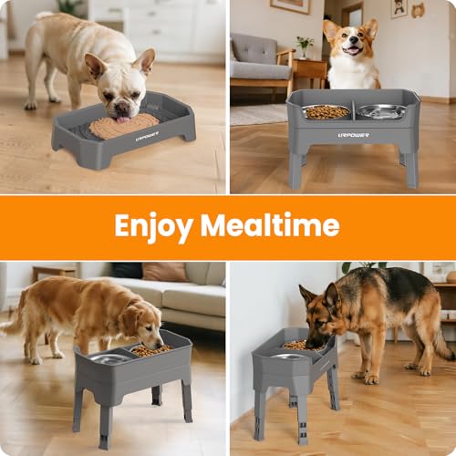 Elevated Dog Bowls (Grey / Large)