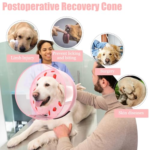 Inflatable Dog Cone Collar for Large Medium Small Dogs (Strawberry Print / Large)