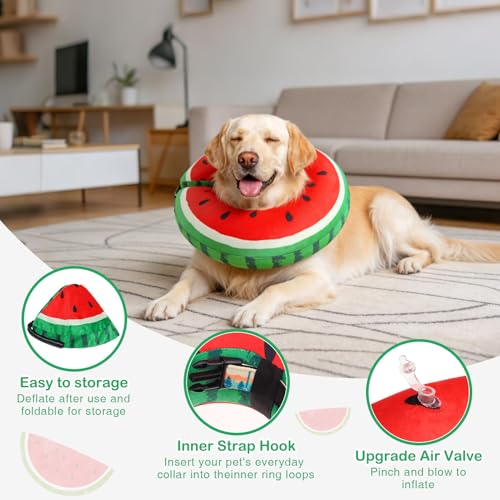 Recovery Donut Collar for Medium Large Dogs (Red Watermelon / L(Neck 16"-18"))