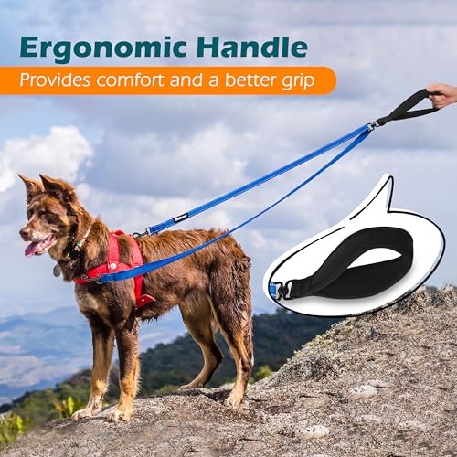 Two Point Control Dog Leash (Blue)