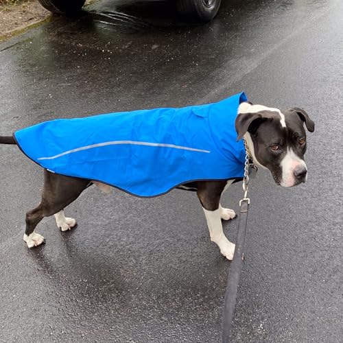 Dog Raincoat Adjustable Waterproof Reflective Rain Jacket for Small Medium Large Dogs (M Chest 26"-32" / Blue)