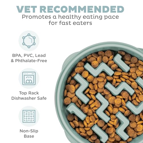 Fun Feeder Slo Bowl Dog Slow Feeder (Sage / Medium)