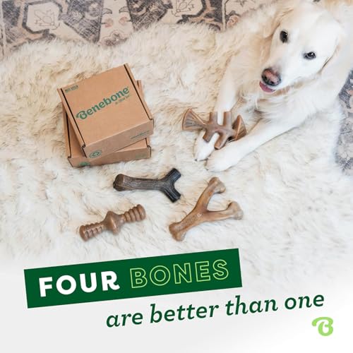 Large 4 Pack Dog Toys for Aggressive Chewers (Large / 4 Pack)