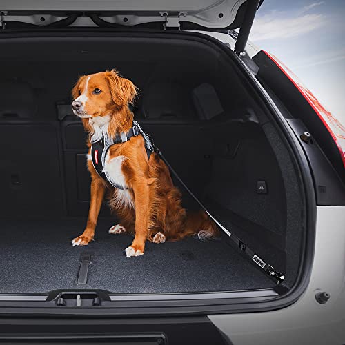 Click ISOFIX Cargo (Black / ISOFIX Cargo - 24in - 40in)