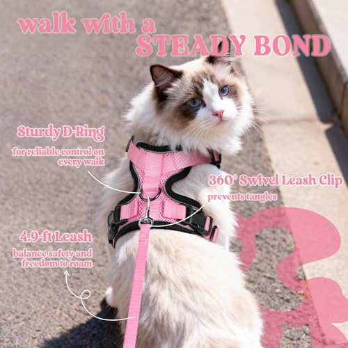 Cat Harness and Leash Set (Xxs / Pink)