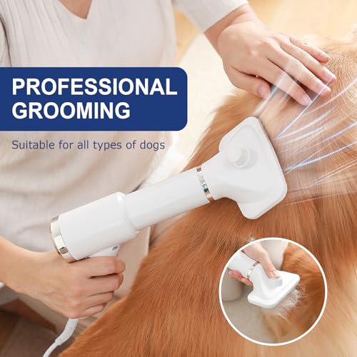 Portable Dog Hair Dryer with Brush (white)
