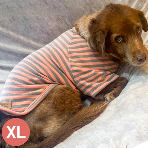 3Pack Dog Sweater with Sleeves Fleece Shirt for Medium Dogs (X-Large (30-50lbs) / 01# 3Pack(Orange+Grey+Stripe))