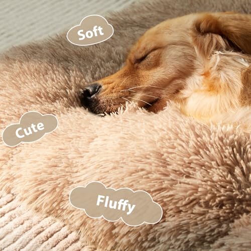 Dog Beds for Large Dogs (Brown / 2XL(48x29 inch))