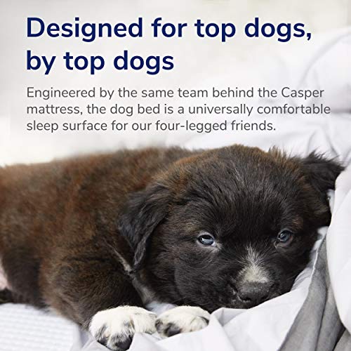 Dog Bed Plush Memory Foam (Gray / Small)