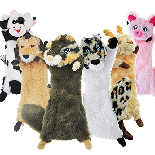 Dog Squeaky Toy No Stuffing 6 Pack (For Medium and Large Breed / 6 Pack - Variety)