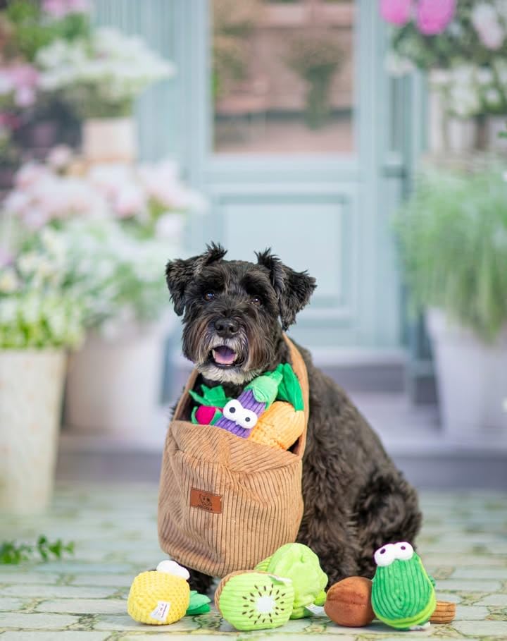 Squeaky Fruits Veggies Stuffed Dog Toys Pack (Fruit and Vegetables)