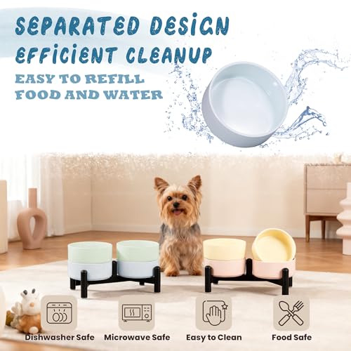 Elevated Ceramic Dog Bowl Set (Blue / 1.4 Cups)