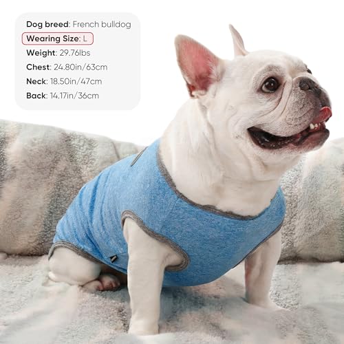 3 Pack Lightweight Sun Protection Dog Shirt Breathable Sleeveless Dog T Shirts Extra Soft Top Tank Dog Clothes for Outdoor Activities (Navy Blue + Light Blue + Sky Blue / L (Back: 16.5",Chest: 22.4", Neck 15"))
