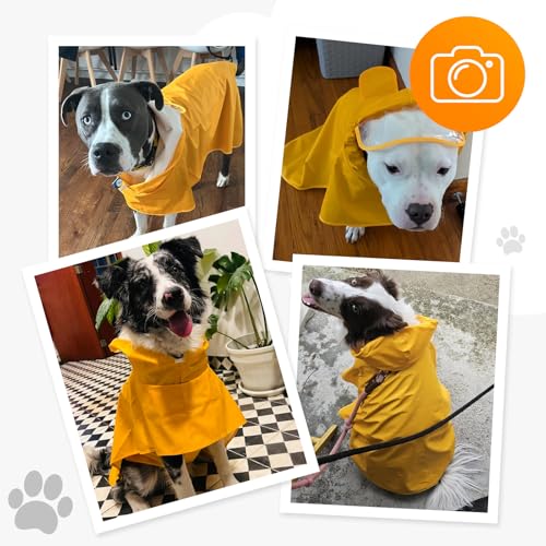 Dog Raincoat Dog Rain Jacket Poncho with Hood and Leash Hole (Neon Yellow / L(16-22lbs))