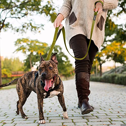 4FT Heavy Duty Dog Leash with Soft Padded Double Handle (4 FT x 1 in Wide / Green)