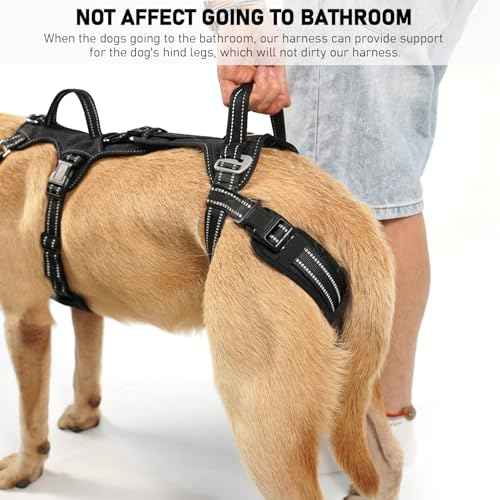 Mobility Dog Lift Harness (Black / XXL)