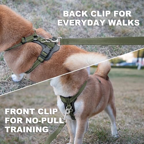No Pull Dog Harness with Leather Accents (S / Ranger Green)