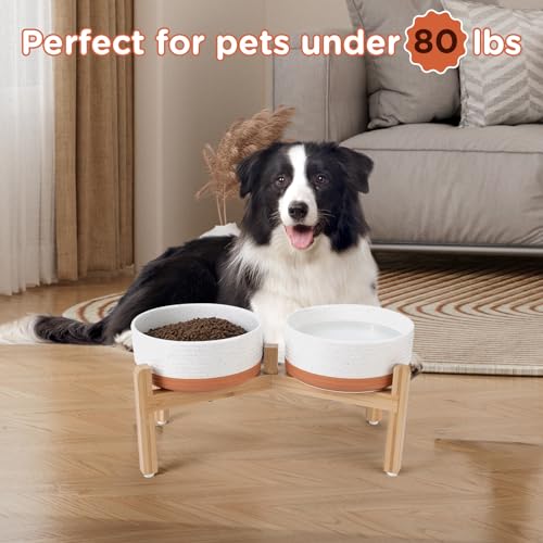 Elevated Dog Bowls Ceramic (7.3 in - 5.3 cups / Pattern White)