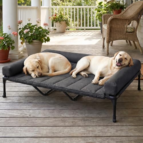 Outdoor Elevated Dog Bed with Waterproof Bolster Cushion (Black / 59.0"L x 37.5"W x 9.0"Th)