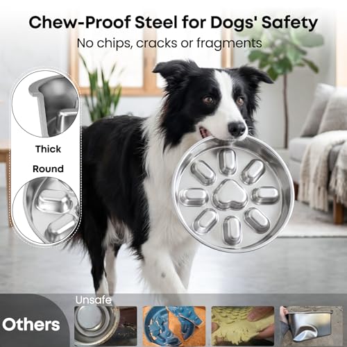 Elevated Slow Feeder Dog Bowls 2 Cups for 15
