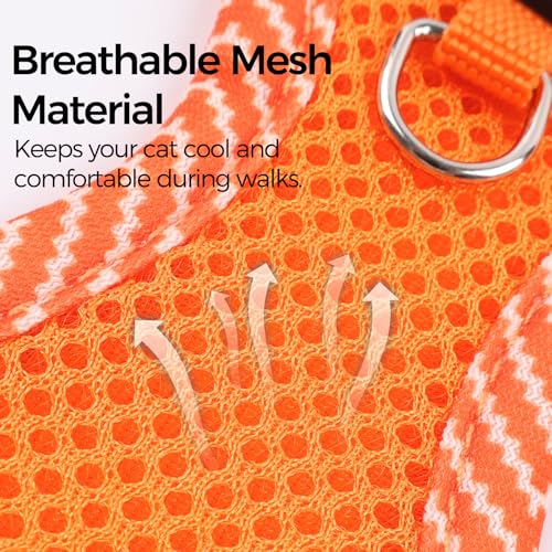 Cat Harness and Leash Set (Orange / Large)