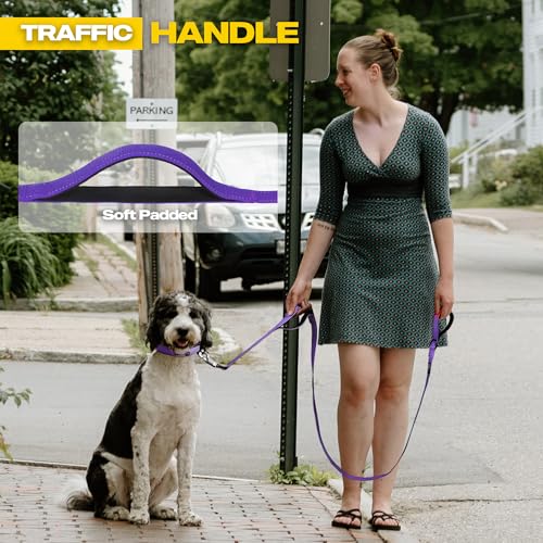 10 FT Heavy Duty Dog Leash (10 Feet (Pack of 1) / Purple)
